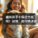 猫咪鼻子干燥是生病了吗?别慌,教你快速读懂原因(图3) 猫咪鼻子干燥全攻略(图3)