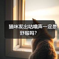 猫咪发出咕噜声一定是舒服吗?(图2) 猫咪发出咕噜声一定是舒服吗全攻略(图2)