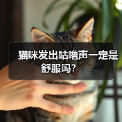 猫咪发出咕噜声一定是舒服吗?(图3) 猫咪发出咕噜声一定是舒服吗全攻略(图3)
