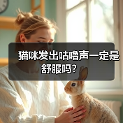 猫咪发出咕噜声一定是舒服吗?(图4) 猫咪发出咕噜声一定是舒服吗全攻略(图4)