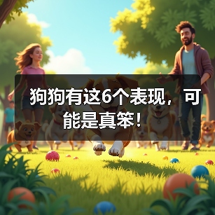 狗狗有这6个表现,可能是真笨!(图3) 狗狗有这6个表现可能是真笨全攻略(图3)