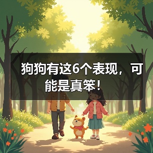 狗狗有这6个表现可能是真笨全攻略