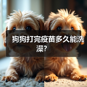 狗狗打完疫苗多久能洗澡全攻略