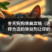 冬天狗狗除臭攻略｜实用指南(图4)