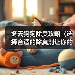 冬天狗狗除臭攻略｜实用指南