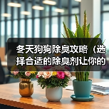 冬天狗狗除臭攻略｜实用指南(图3)