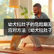 幼犬拉肚子危险期应对方法全攻略