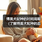 博美犬配种时间周期与注意事项｜繁殖全攻略(图2)