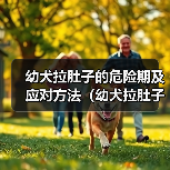 幼犬拉肚子危险期应对方法全攻略(图4)