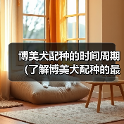 博美犬配种时间周期与注意事项｜繁殖全攻略(图3)