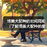 博美犬配种时间周期与注意事项｜繁殖全攻略