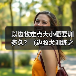 边牧定点大小便训练全攻略