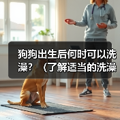 狗狗出生后何时洗澡全攻略(图3)