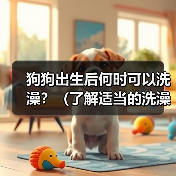 狗狗出生后何时洗澡全攻略(图4)