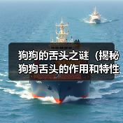 狗狗舌头作用特性全攻略