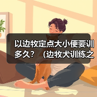 边牧定点大小便训练全攻略(图4)