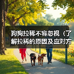 狗狗拉稀不容忽视全攻略(图3)