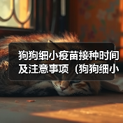 狗狗细小疫苗接种时间及注意事项全攻略(图2)
