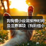 狗狗细小疫苗接种时间及注意事项全攻略(图3)