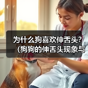 狗狗伸舌头原因与温度调节全攻略(图2)