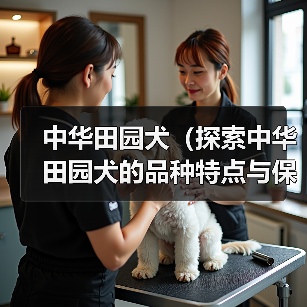 中华田园犬品种特点与保护现状全攻略(图2)