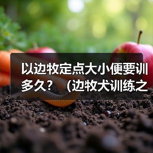 边牧定点大小便训练全攻略(图2)
