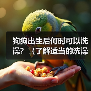 狗狗出生后何时洗澡全攻略(图2)