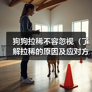 狗狗拉稀不容忽视全攻略(图2)