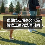 猫尿结石后多久洗澡?解读正确的洗澡时间(宠物猫健康护理之洗澡时间的重要性与注意事项)(图3) 猫尿结石后洗澡时间全攻略(图3)