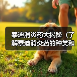 泰迪消炎药大揭秘(了解泰迪消炎药的种类和功效,保护您的爱宠健康)(图2) 泰迪消炎药全攻略(图2)