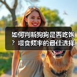 如何判断狗狗是否吃饱?喂食频率的最佳选择(探索狗狗饮食习惯,帮助你正确喂养它们)(图2) 如何判断狗狗是否吃饱喂食频率最佳选择全攻略(图2)