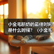 小金毛断奶的最佳时间是什么时候?(小金毛断奶时间的重要性及影响因素)(图3) 小金毛断奶时间指南|科学选择影响健康发育(图3)