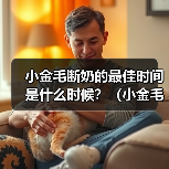 小金毛断奶的最佳时间是什么时候?(小金毛断奶时间的重要性及影响因素)(图4) 小金毛断奶时间指南|科学选择影响健康发育(图4)