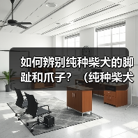 如何辨别纯种柴犬的脚趾和爪子?(纯种柴犬爪子的颜色是什么?)(图4) 如何辨别纯种柴犬脚趾爪子颜色全攻略(图4)