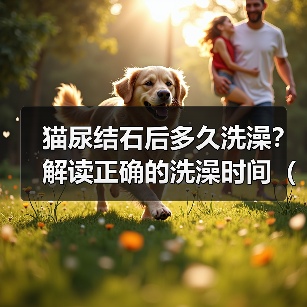 猫尿结石后多久洗澡?解读正确的洗澡时间(宠物猫健康护理之洗澡时间的重要性与注意事项)(图2) 猫尿结石后洗澡时间全攻略(图2)