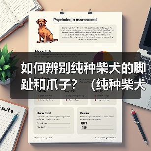 如何辨别纯种柴犬脚趾爪子颜色全攻略