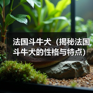 法国斗牛犬性格特点全攻略