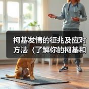柯基发情期征兆与应对方法｜全面指南(图4)