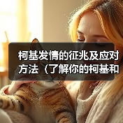 柯基发情期征兆与应对方法｜全面指南(图3)