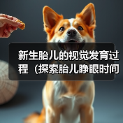 新生胎儿视觉发育全过程｜关键阶段解析