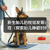 新生胎儿的视觉发育过程(探索胎儿睁眼时间的奥秘)(图3) 新生胎儿视觉发育全过程|关键阶段解析(图3)
