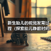 新生胎儿的视觉发育过程(探索胎儿睁眼时间的奥秘)(图4) 新生胎儿视觉发育全过程|关键阶段解析(图4)