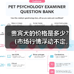 贵宾犬价格受哪些因素影响｜购买全攻略