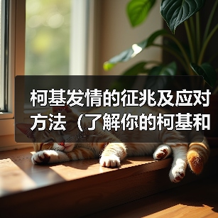 柯基发情期征兆与应对方法｜全面指南(图2)