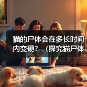 猫的尸体会在多长时间内变硬?(探究猫尸体变硬的过程和时间,揭秘背后的生物学原理)(图2) 猫尸体变硬时间与过程解析|科学指南(图2)