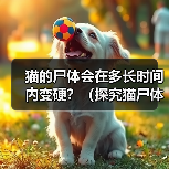 猫的尸体会在多长时间内变硬?(探究猫尸体变硬的过程和时间,揭秘背后的生物学原理)(图4) 猫尸体变硬时间与过程解析|科学指南(图4)