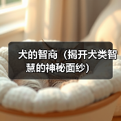 犬的智商揭秘｜全面解析犬类智慧表现与认知能力