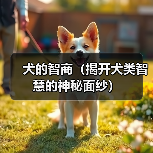 犬的智商(揭开犬类智慧的神秘面纱)(图3) 犬的智商揭秘|全面解析犬类智慧表现与认知能力(图3)