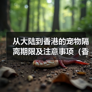 大陆宠物赴港隔离规定与注意事项｜全攻略(图2)