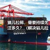猫儿拉稀需要关注多久｜耐心细心是关键(图4)